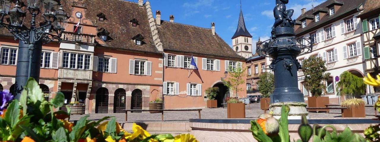 La Curiosite - Appartement 2 Chambres A Barr, Route Des Vins D'Alsace Exteriér fotografie